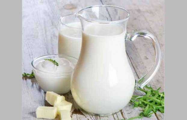 दूध की दही, जाणून घ्या आरोग्यासाठी काय आहे फायदेशीर | milk or curd which is more healthie
