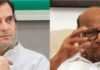लोकसभा | NCP will merge with the party? Rahul Gandhi