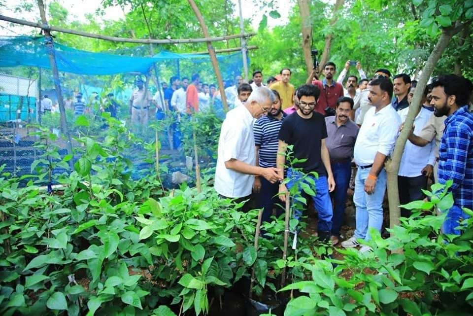 आदित्य ठाकरे | Build a tower of trees rather than a tower of cement