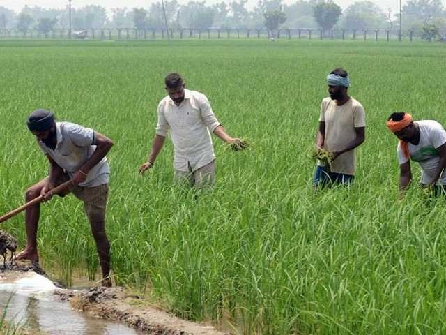 आता-अधिकाऱ्यांना-जावे-ला-Now-to-the-authorities-go-to